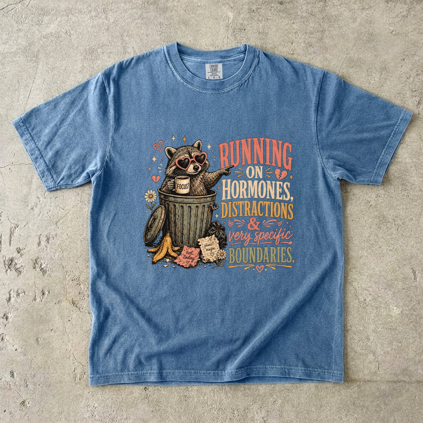 Hormones Distractions and Boundaries Funny Women’s Shirt|Comfort Colors T-shirt