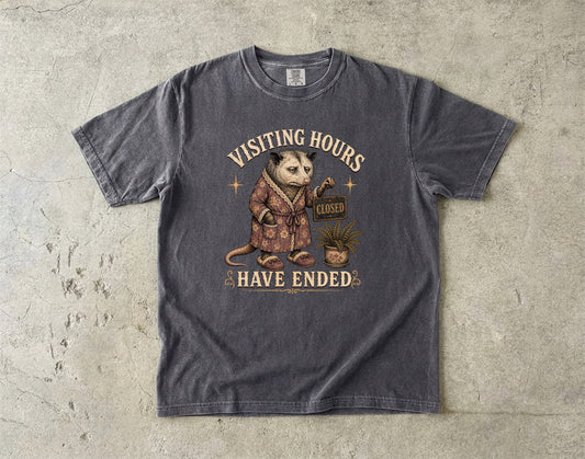 Visiting Hours Have Ended Shirt | Funny Introvert Opossum Tee-Comfort Colors T-shirt