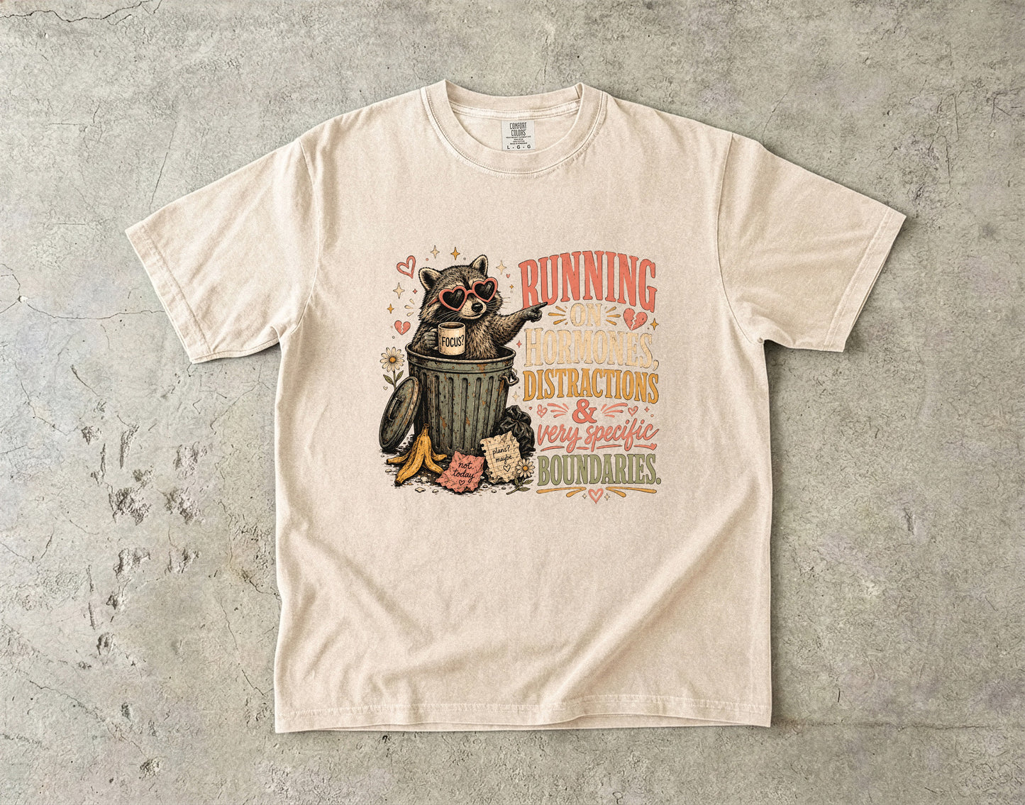 Hormones Distractions and Boundaries Funny Women’s Shirt|Comfort Colors T-shirt