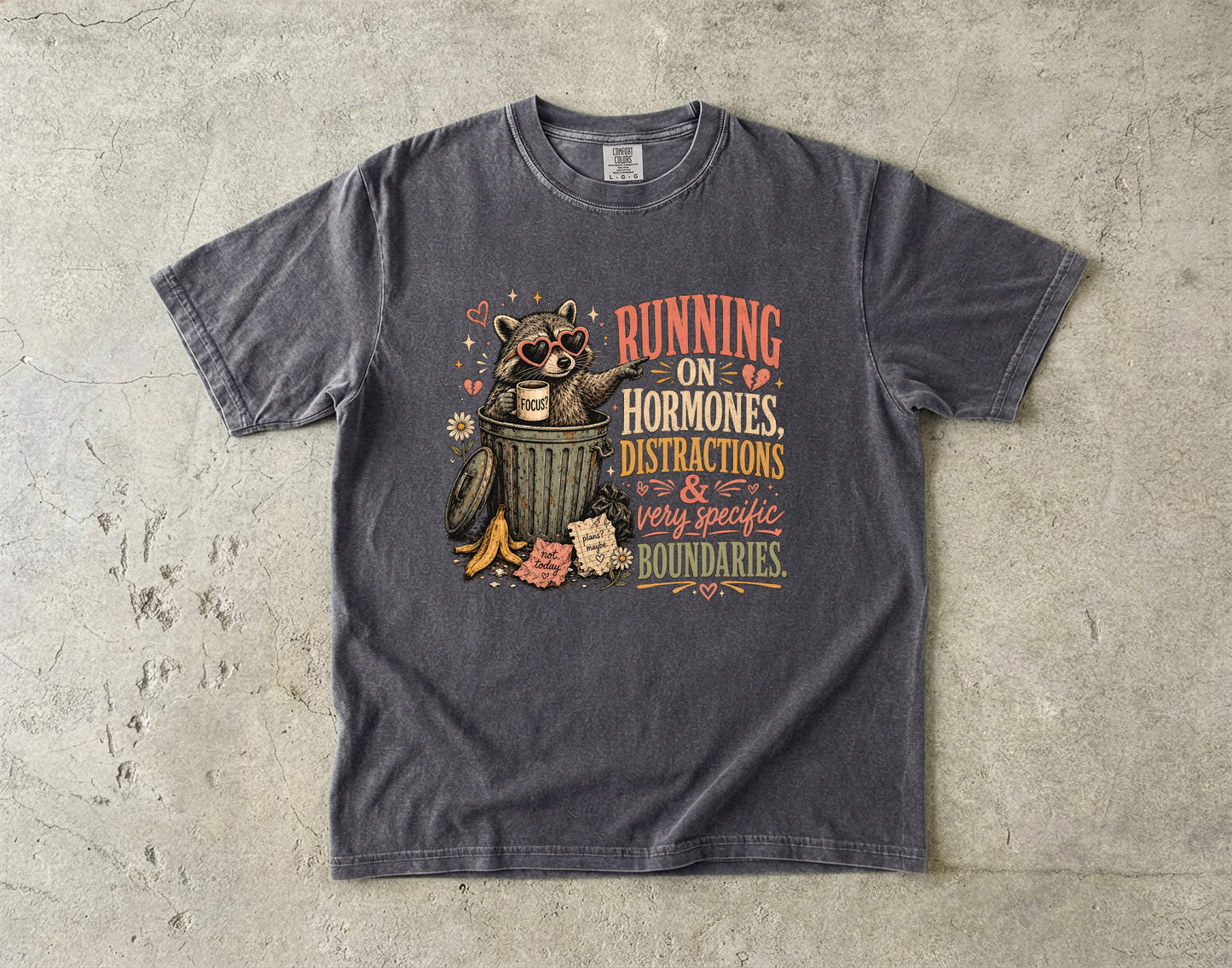 Hormones Distractions and Boundaries Funny Women’s Shirt|Comfort Colors T-shirt