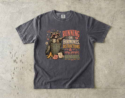 Hormones Distractions and Boundaries Funny Women’s Shirt|Comfort Colors T-shirt