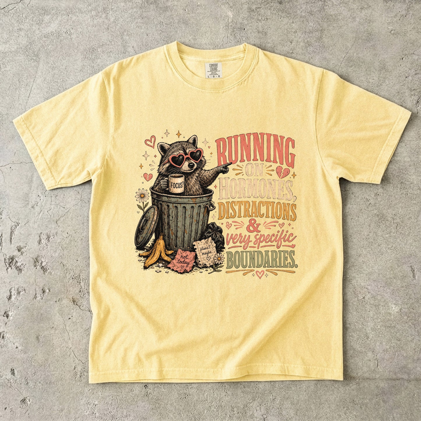 Hormones Distractions and Boundaries Funny Women’s Shirt|Comfort Colors T-shirt
