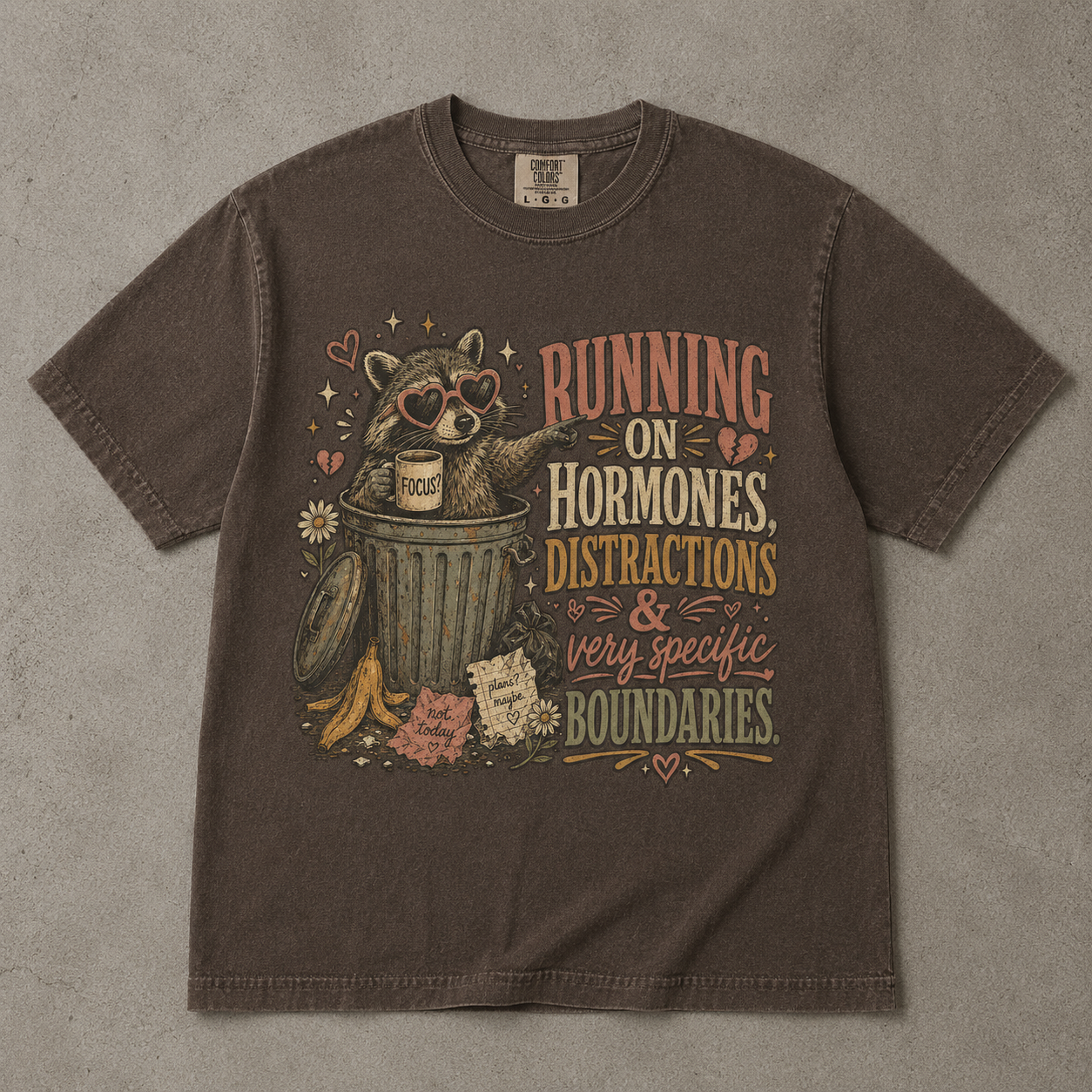 Hormones Distractions and Boundaries Funny Women’s Shirt|Comfort Colors T-shirt
