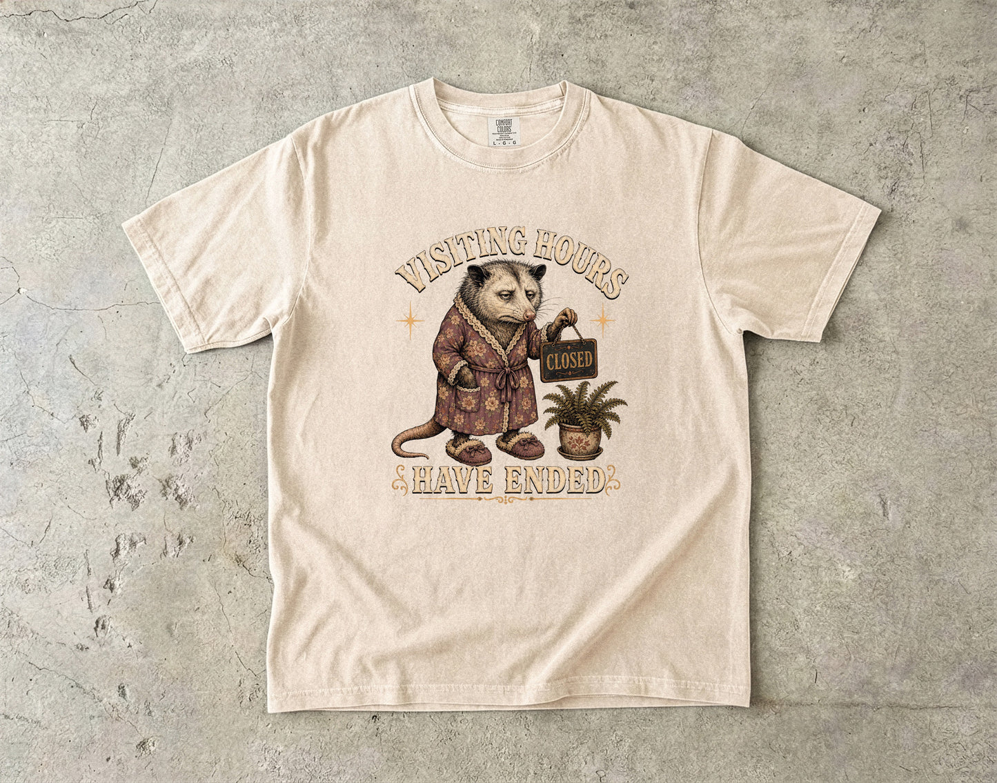 Visiting Hours Have Ended Shirt | Funny Introvert Opossum Tee-Comfort Colors T-shirt