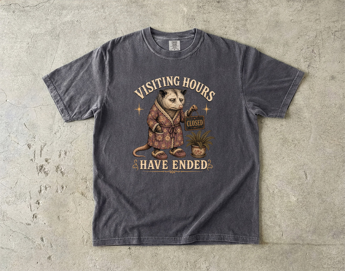 Visiting Hours Have Ended Shirt | Funny Introvert Opossum Tee-Comfort Colors T-shirt