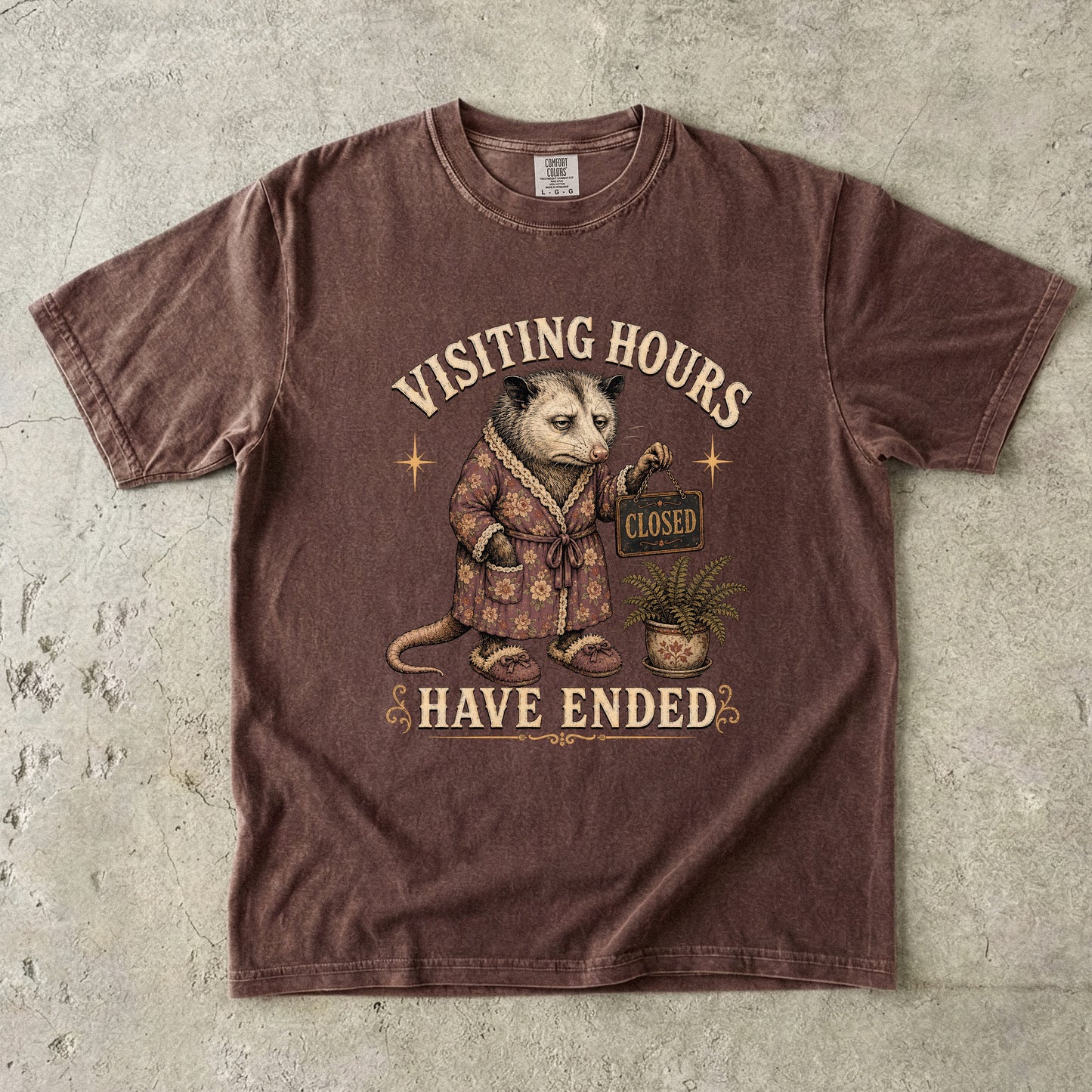 Visiting Hours Have Ended Shirt | Funny Introvert Opossum Tee-Comfort Colors T-shirt