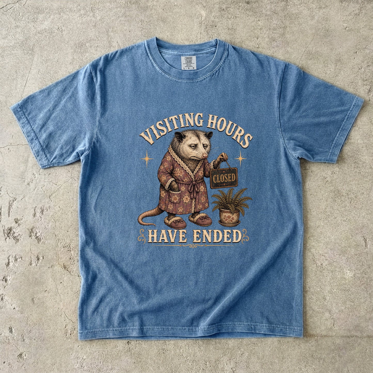 Visiting Hours Have Ended Shirt | Funny Introvert Opossum Tee-Comfort Colors T-shirt