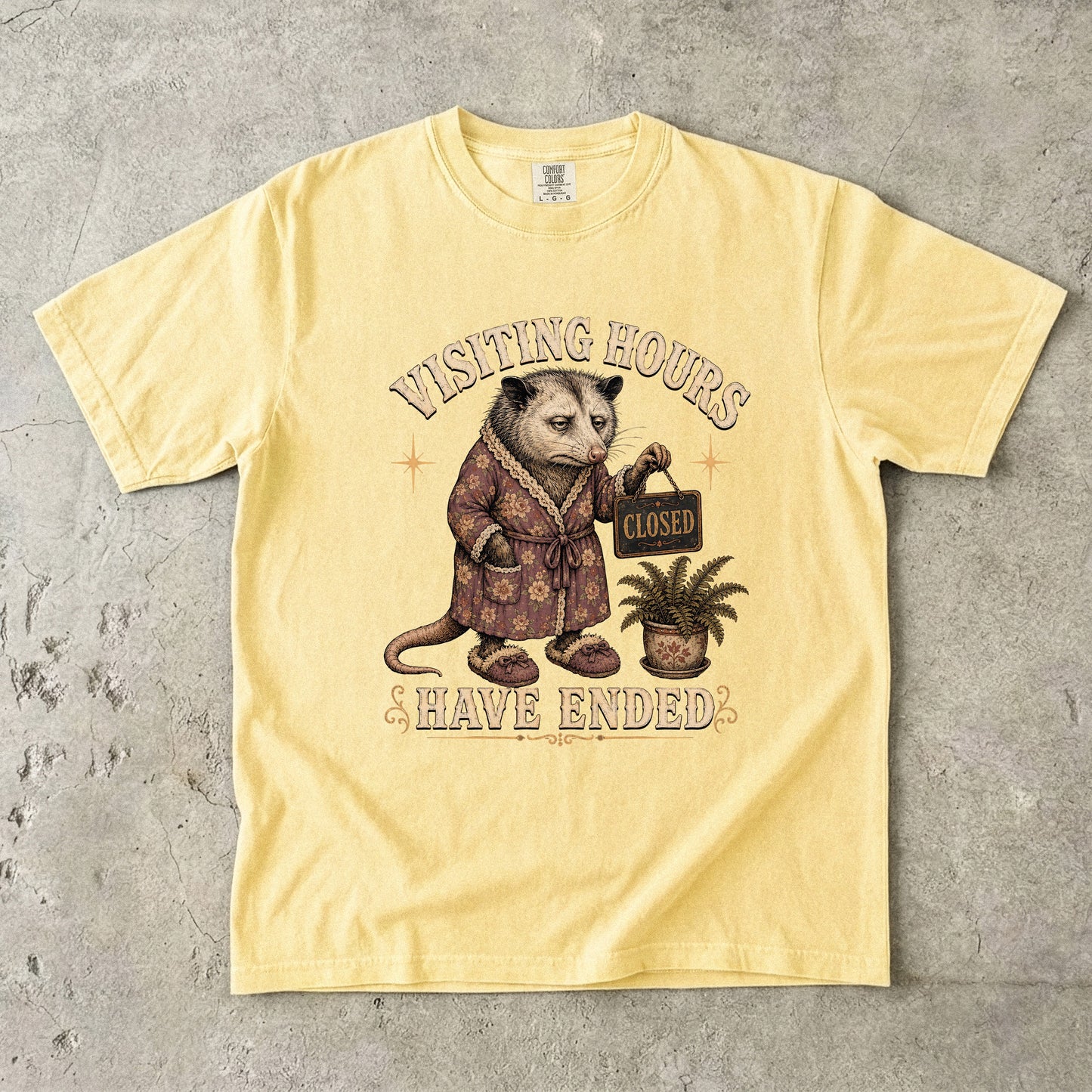 Visiting Hours Have Ended Shirt | Funny Introvert Opossum Tee-Comfort Colors T-shirt