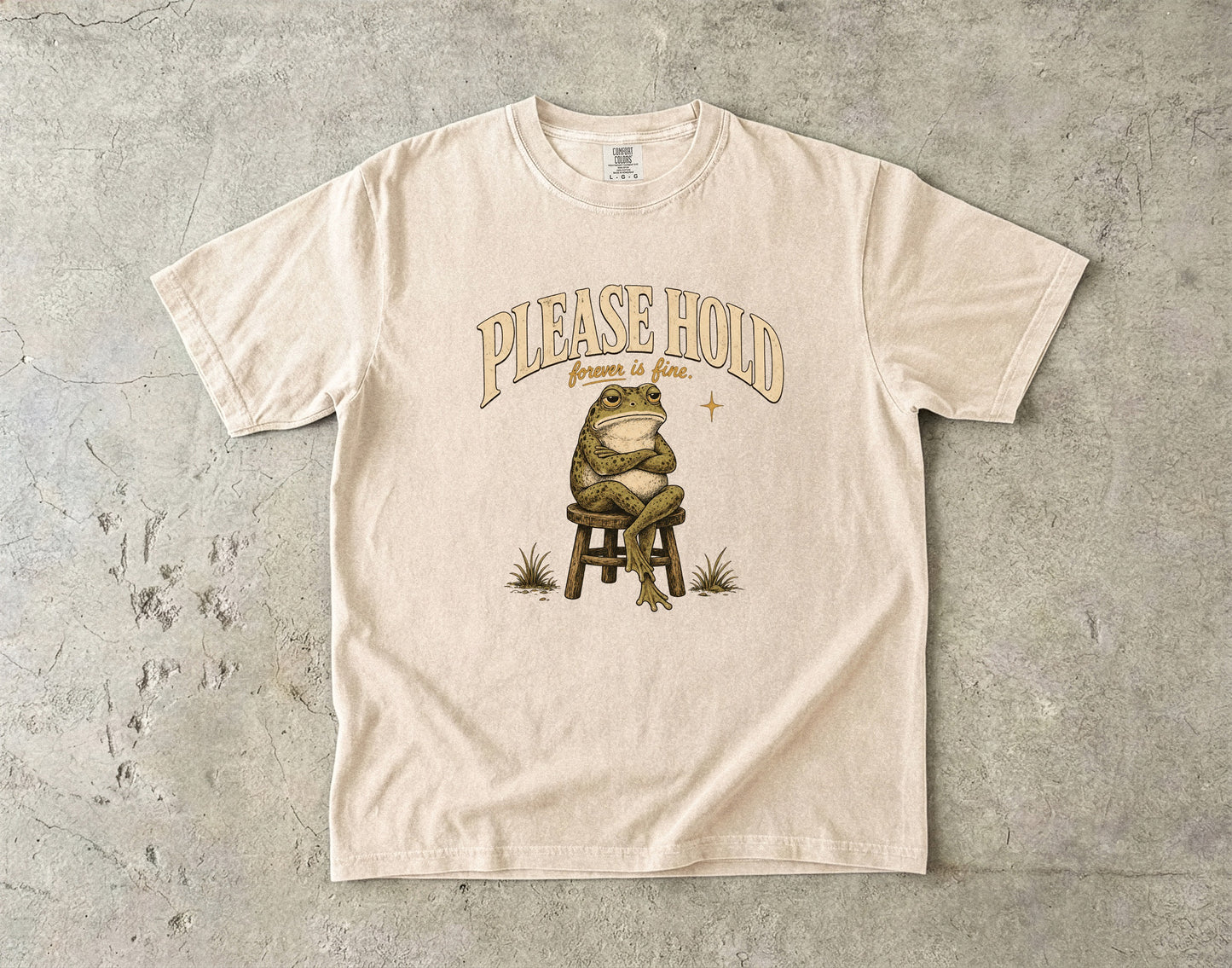 Hold Forever Is Fine Shirt | Funny Introvert Frog Tee-Comfort Colors T-shirt