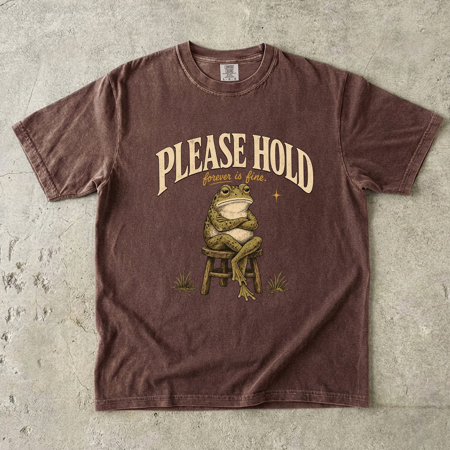 Hold Forever Is Fine Shirt | Funny Introvert Frog Tee-Comfort Colors T-shirt