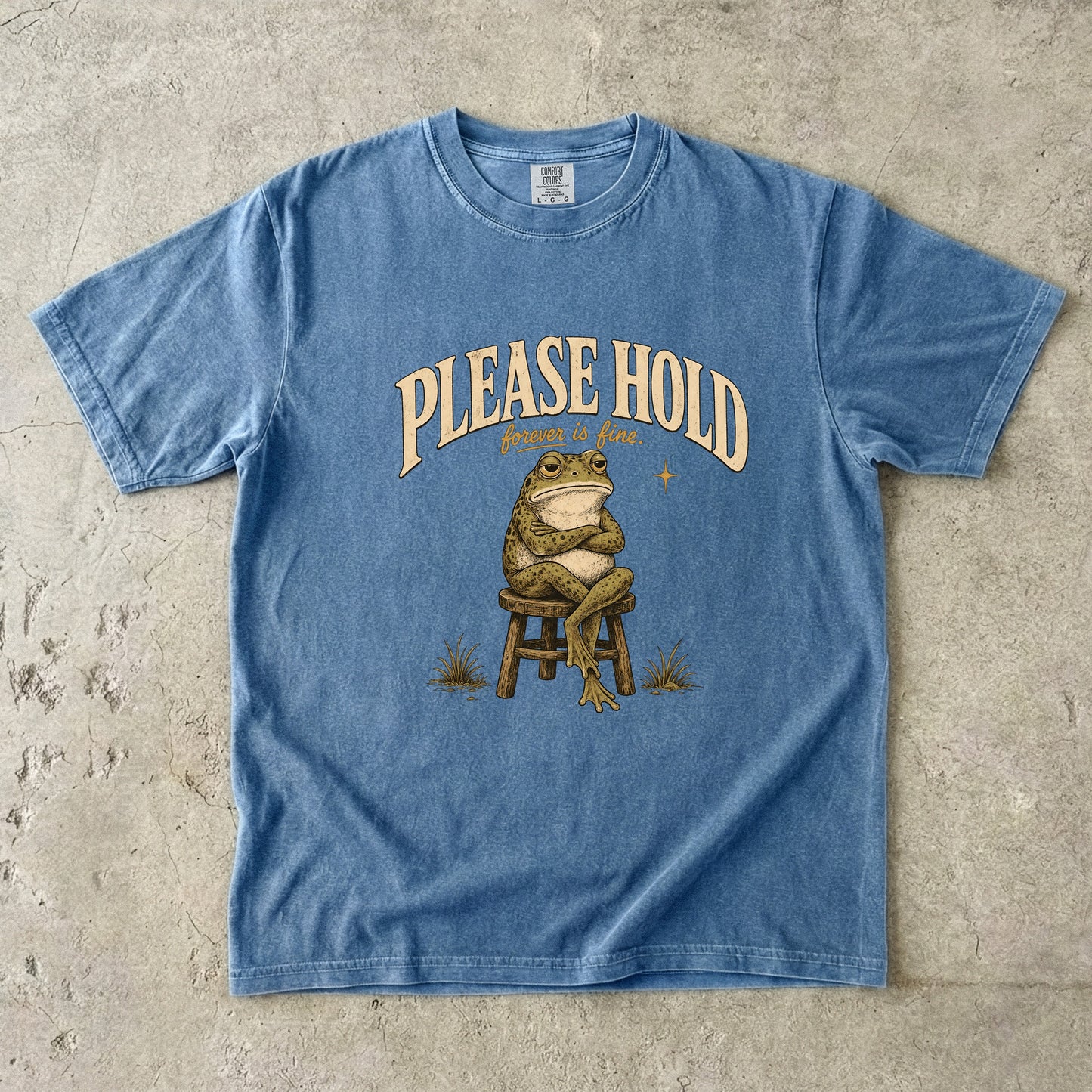 Hold Forever Is Fine Shirt | Funny Introvert Frog Tee-Comfort Colors T-shirt