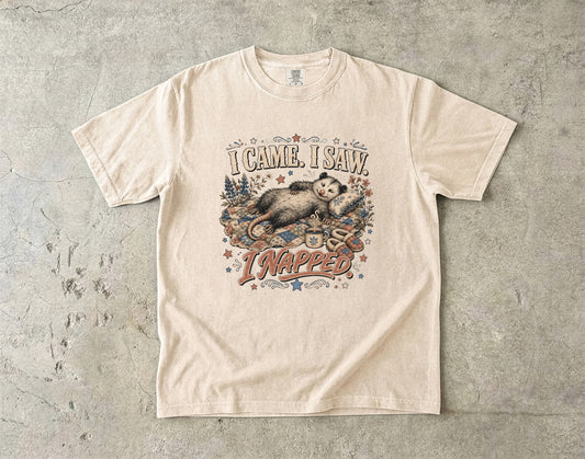 I Came I Saw I Napped T-Shirt | Funny Sleepy Animal Shirt-Comfort Colors T-shirt