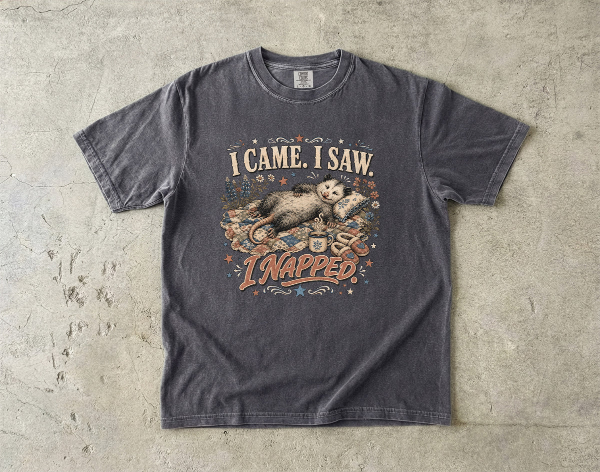 I Came I Saw I Napped T-Shirt | Funny Sleepy Animal Shirt-Comfort Colors T-shirt