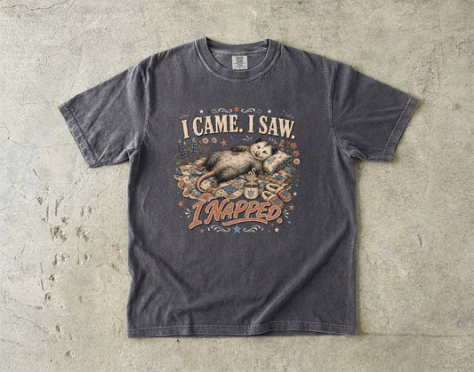 I Came I Saw I Napped T-Shirt | Funny Sleepy Animal Shirt-Comfort Colors T-shirt