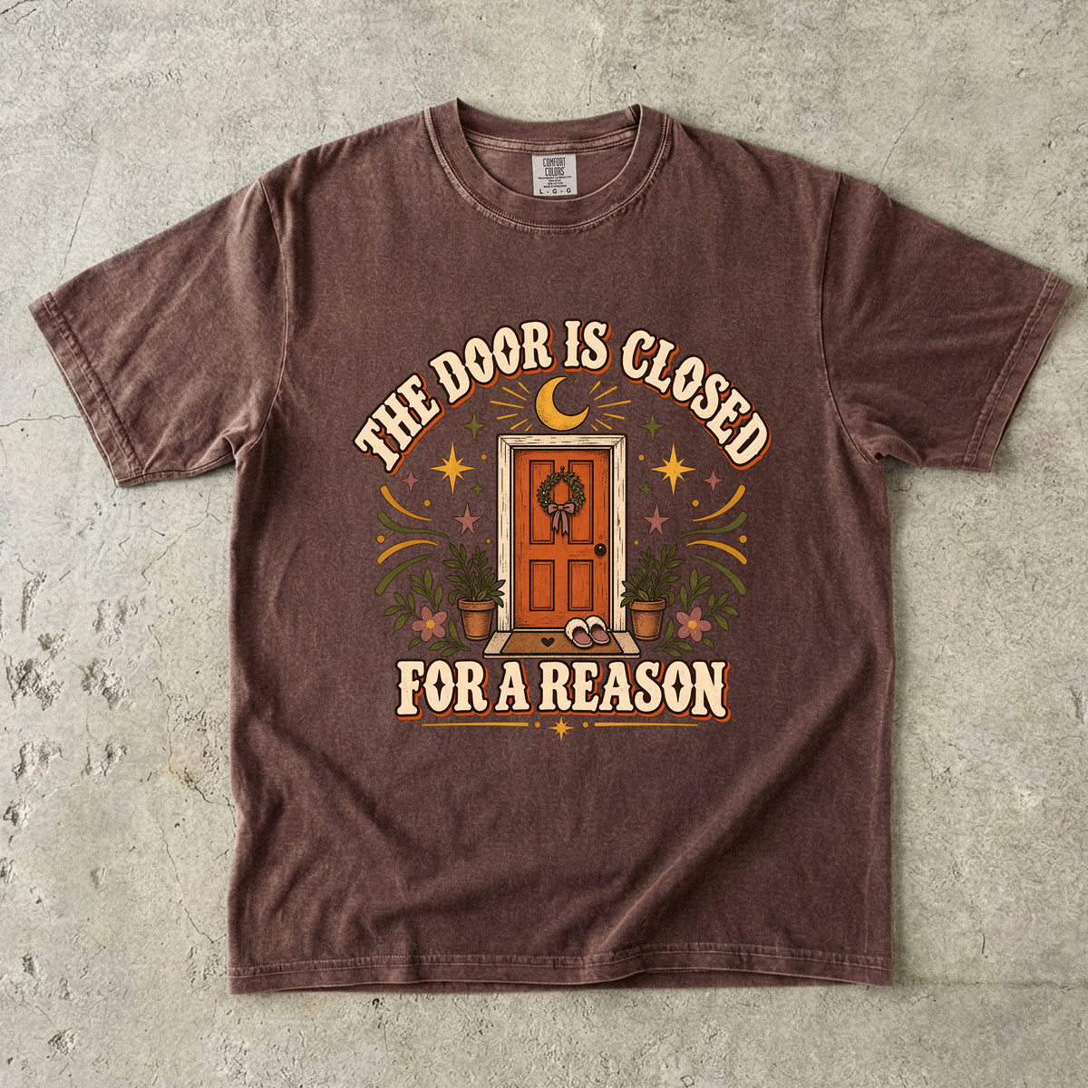 The Door Is Closed for a Reason Shirt | Boundary Humor Tee