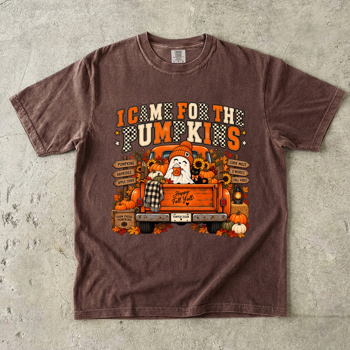 I Came for the Pumpkins Shirt | Cute Ghost Fall Graphic Tee